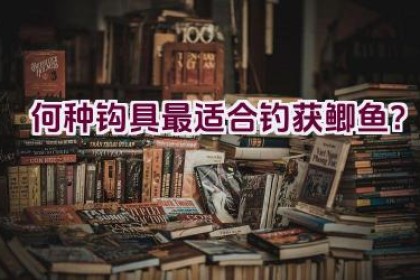 何种钩具最适合钓获鲫鱼？