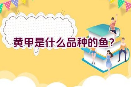 “黄甲是什么品种的鱼？”