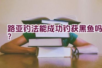 路亚钓法能成功钓获黑鱼吗？