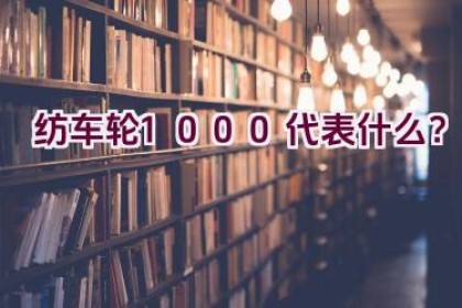 纺车轮1000代表什么？