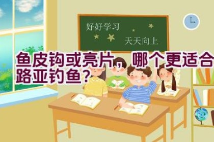 鱼皮钩或亮片，哪个更适合路亚钓鱼？