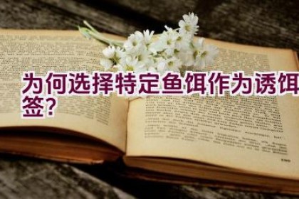 “为何选择特定鱼饵作为诱饵签？”