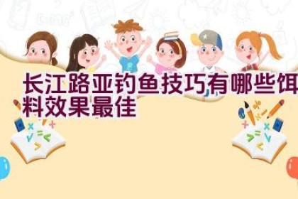 长江路亚钓鱼技巧有哪些饵料效果最佳