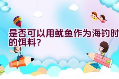 “是否可以用鱿鱼作为海钓时的饵料？”