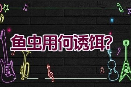 鱼虫用何诱饵？