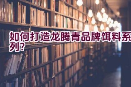 “如何打造龙腾青品牌饵料系列？”