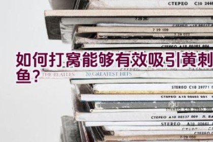 如何打窝能够有效吸引黄刺鱼？