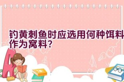 钓黄刺鱼时应选用何种饵料作为窝料？