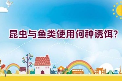 昆虫与鱼类使用何种诱饵？