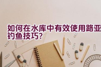 如何在水库中有效使用路亚钓鱼技巧？