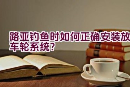 路亚钓鱼时如何正确安装放车轮系统？