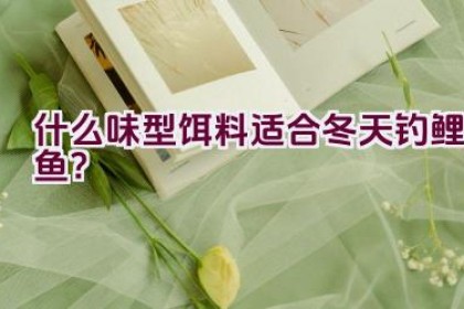 什么味型饵料适合冬天钓鲤鱼？
