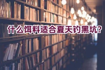 什么饵料适合夏天钓黑坑？