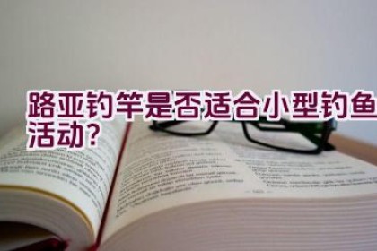 路亚钓竿是否适合小型钓鱼活动？
