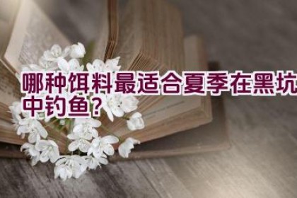 哪种饵料最适合夏季在黑坑中钓鱼？
