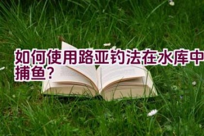 如何使用路亚钓法在水库中捕鱼？