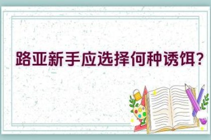 路亚新手应选择何种诱饵？