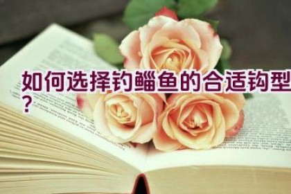如何选择钓鲻鱼的合适钩型？