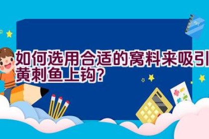 如何选用合适的窝料来吸引黄刺鱼上钩？