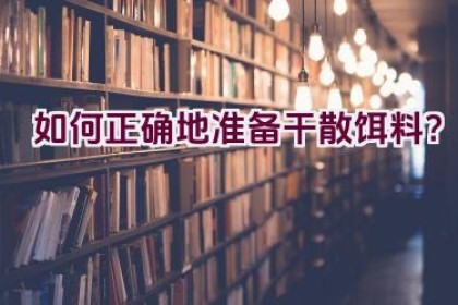 如何正确地准备干散饵料？