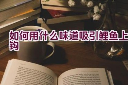如何用什么味道吸引鲤鱼上钩