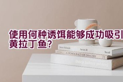 使用何种诱饵能够成功吸引黄拉丁鱼？