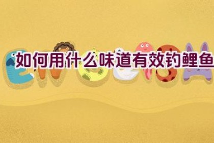 如何用什么味道有效钓鲤鱼
