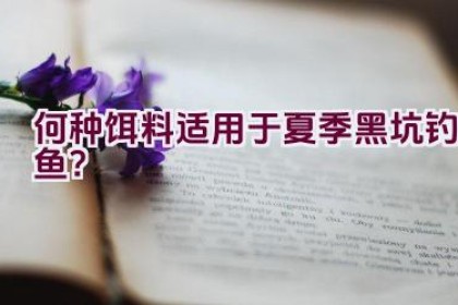 何种饵料适用于夏季黑坑钓鱼？