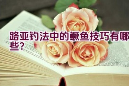 路亚钓法中的鳜鱼技巧有哪些？