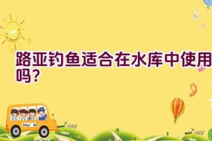 路亚钓鱼适合在水库中使用吗？