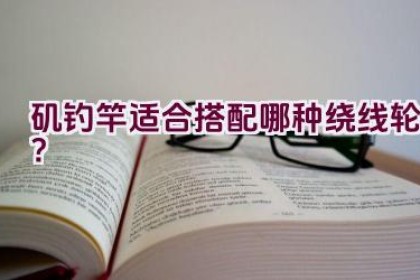 矶钓竿适合搭配哪种绕线轮？
