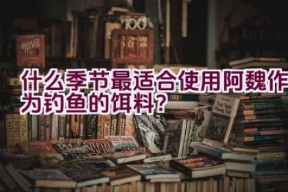什么季节最适合使用阿魏作为钓鱼的饵料？
