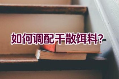 如何调配干散饵料？