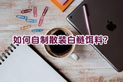 如何自制散装白鲢饵料？