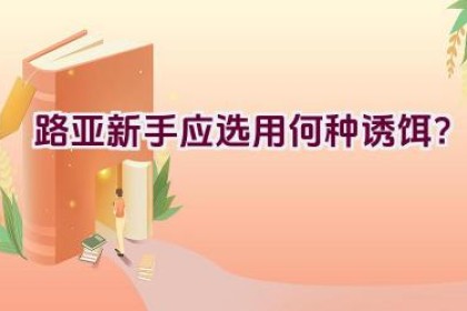 路亚新手应选用何种诱饵？