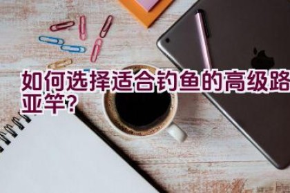 如何选择适合钓鱼的高级路亚竿？