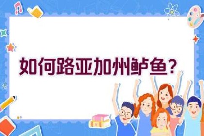 如何路亚加州鲈鱼？