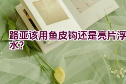路亚该用鱼皮钩还是亮片浮水？