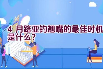 4月路亚钓翘嘴的最佳时机是什么？