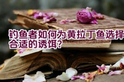 钓鱼者如何为黄拉丁鱼选择合适的诱饵？