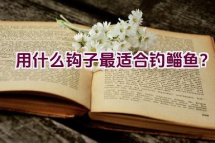 用什么钩子最适合钓鲻鱼？