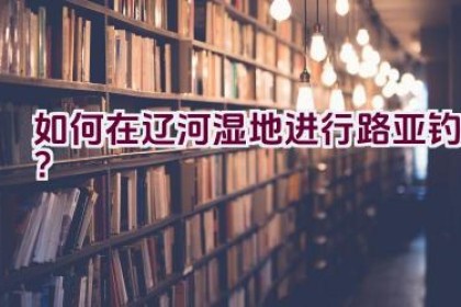 如何在辽河湿地进行路亚钓？