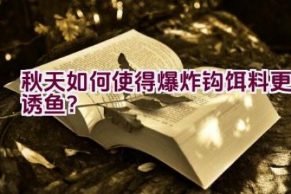 秋天如何使得爆炸钩饵料更诱鱼？