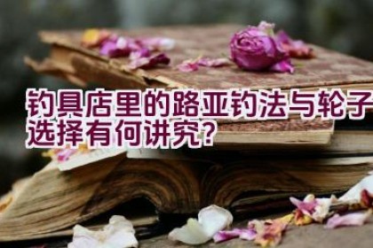 钓具店里的路亚钓法与轮子选择有何讲究？