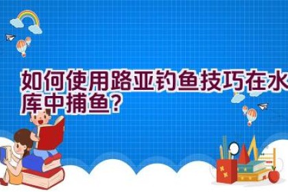 如何使用路亚钓鱼技巧在水库中捕鱼？