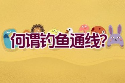 “何谓钓鱼通线？”