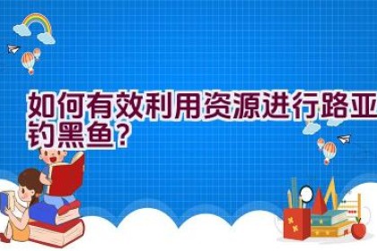 如何有效利用资源进行路亚钓黑鱼？