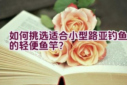 “如何挑选适合小型路亚钓鱼的轻便鱼竿？”