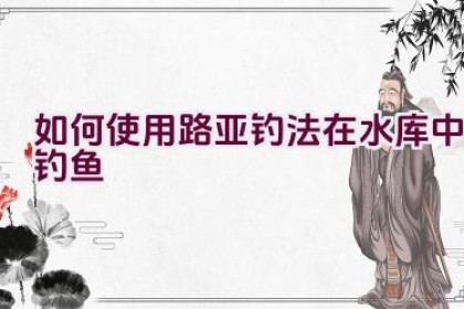 如何使用路亚钓法在水库中钓鱼