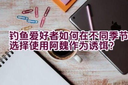 钓鱼爱好者如何在不同季节选择使用阿魏作为诱饵？